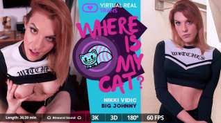 Online film Where is my cat? - VirtualRealTrans