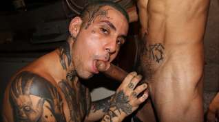 Online film Tatted Punk Sucks Monster Cock