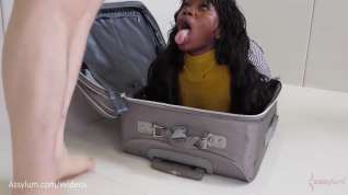 Online film Black Girl In Suitcase