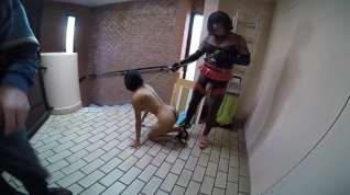 Online film Female Dog Training By Shemale