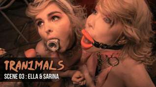 Free online porn Hell4Slootz & Sarina Valentina & Ella Hollywood in TS Ella + TS Sarina + Stud = Threesome