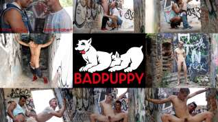 Online film Aiden Diego and Yannis Kabert - Badpuppy