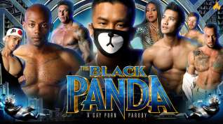 Online film The Black Panda Preview Cast - Peterfever