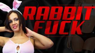 Online film Miss K in Rabbit Fuck - VRConk