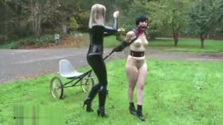 Online film Ponygirl pull the carriage of mistress
