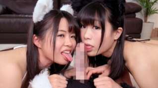Online film Miori Ayaha and Yurina Aizawa Cute Creampie Cat Cafe Threesome Edition Part 1 - SexLikeReal
