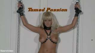 Online film Tamed Passion: Briana Blair, Barrett Blade - KINK