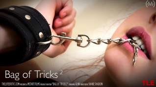 Online film Bag Of Tricks 2 - Guna - TheLifeErotic