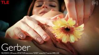 Online film Gerber - Kalisy - TheLifeErotic