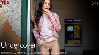 Online film Undercover - Train - Lilu - TheLifeErotic