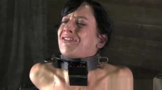 Online film Collared sub getting pussy punished