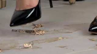 Online film Sexy Alisa crushing locust with her black high heels.