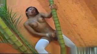 Online film Brazilian TS Solo Action