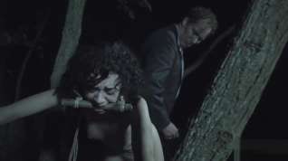 Online film A Lars von Trier film