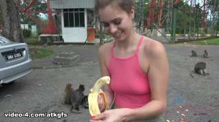 Online film Jill Meets The Monkey And Has A Great Day Out - ATKGirlfriends