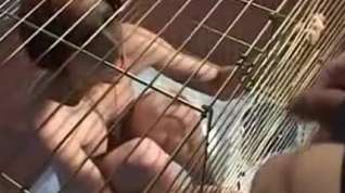 Online film creampie caged girl in prison