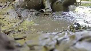 Online film NUDE MAN PLAYING IN MUD HOLE
