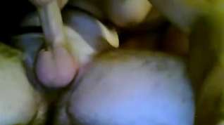 Free online porn old Peruvian TS In A plowing And sucking Session