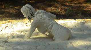 Online film Innocent Girl in Mud