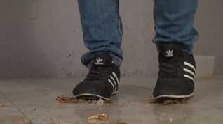 Online film sneakers trample crawdad