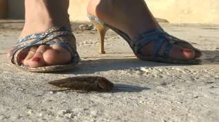 Online film big cockroaches vs sandals