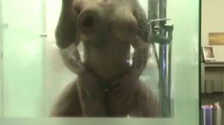 Online film Real German Couple Caught Fuck in Shower by Hidden Cam