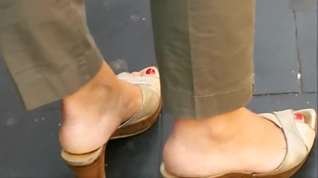 Online film Candid Mules At A Bus Stop