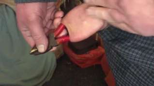 Online film Foreskin with pliers and 3 plastic balls