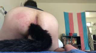 Online film little ftm kitten with tail squirting and dirty talking for daddy