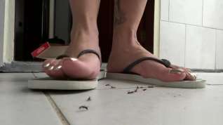 Online film Goddess Grazi Flip-Flop Ant Crush