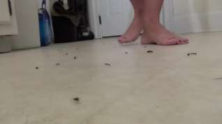 Online film unaware flip-flop ant crush