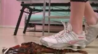 Online film Daisy Lane loves to kill naughty lobster