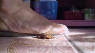 Online film plastic sandals crush roach1