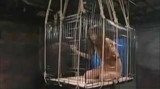 Online film Caged And Sprayed Asian Teen