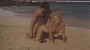 Online film Ginger Lynn Fucked On A Beach By Ron Jeremy