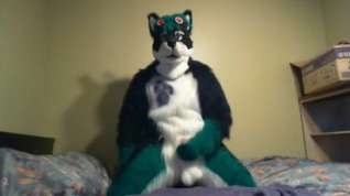 Online film Fursuit sex 104