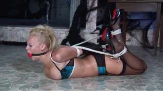 Online film Hogtied