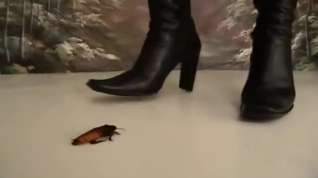 Online film Crush roach with boots - clip 07