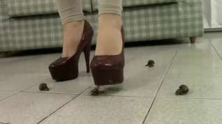 Online film Snail crush with very high heels.