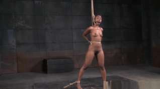 Online film Bound Ebony Sub Whipped By Her Maledom Master