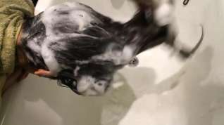 Online film Washing Long Black Hair