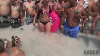 Online film Amateur Home Video from Bartenders Bash Weekend - SouthBeachCoeds