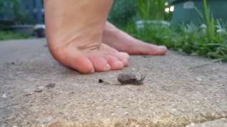 Online film Barefoot snail crush