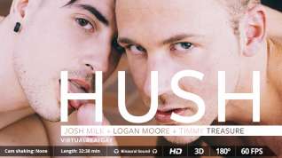Online film Hush - Virtualrealgay