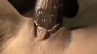 Online film Fucking wet pussy up close with big dick and cum shot