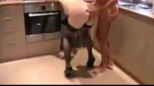 Online film Fuck in kitchen