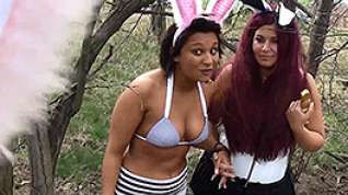 Online film On the hunt for the easter bunny - FunMovies