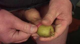 Online film Mr. Potato foreskin - part 2