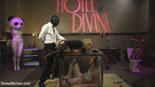 Online film Maitresse Madeline Marlowe Will Havoc Tony Orlando in Honeymoon Cuckold At Hotel Divine - DivineBitches