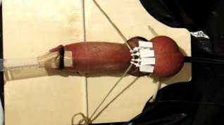 Online film Electro torture with balls clamped up